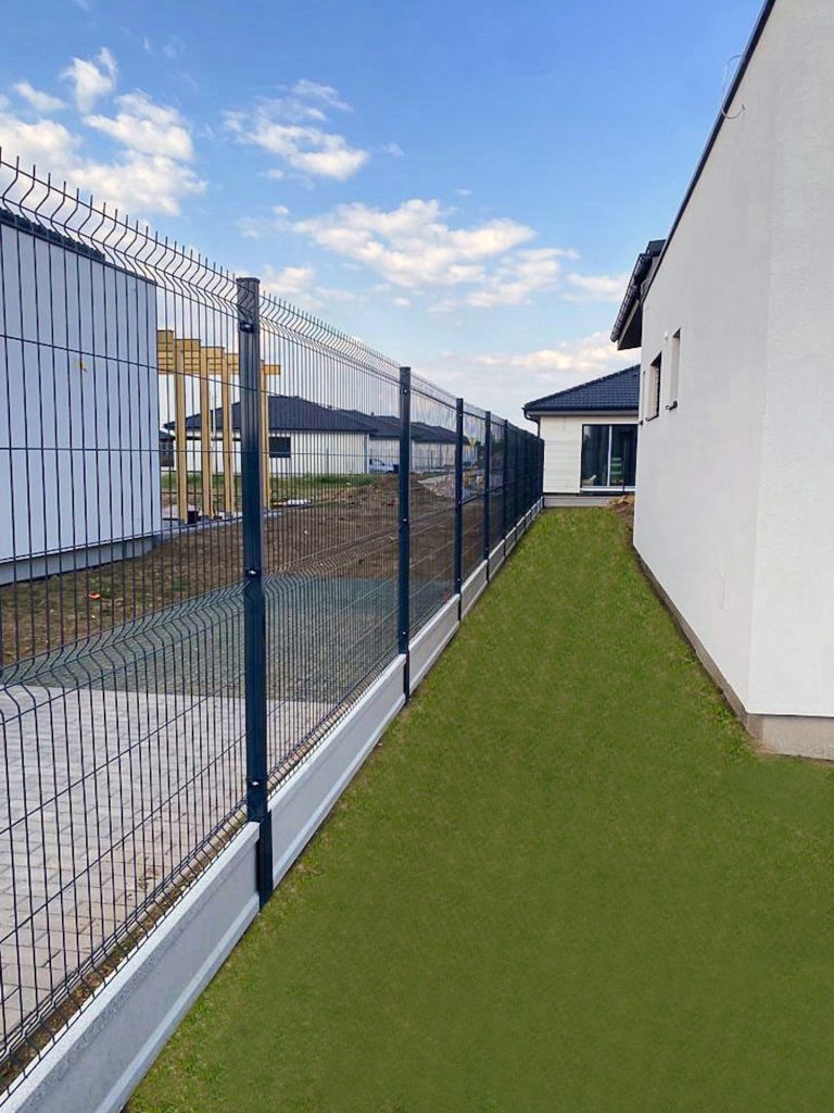 caption for image 1