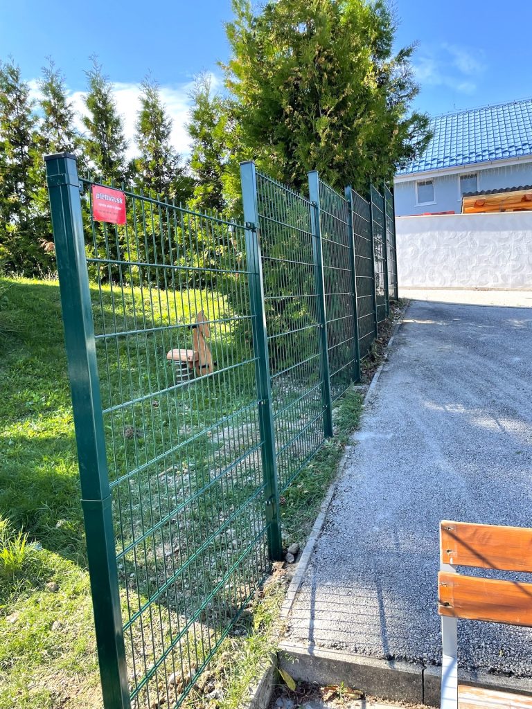caption for image 1