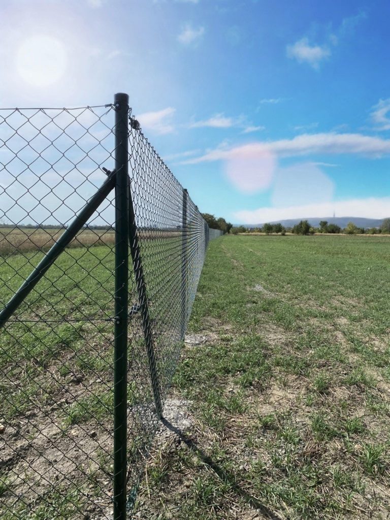 caption for image 1