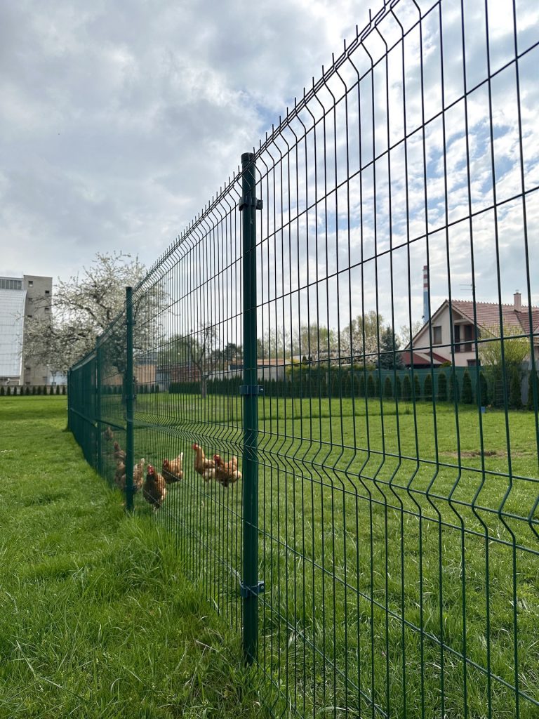 caption for image 1