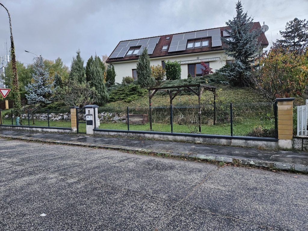 caption for image 1
