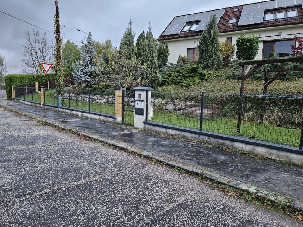 caption for image 1