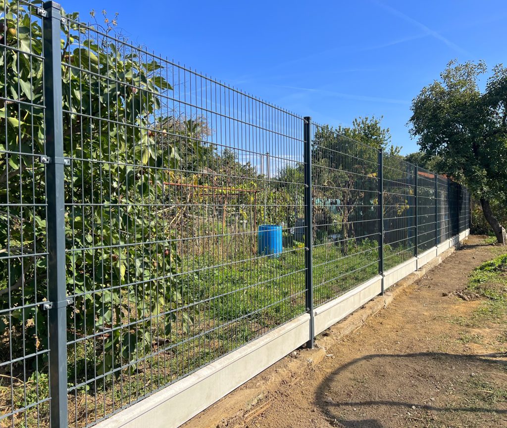 caption for image 1