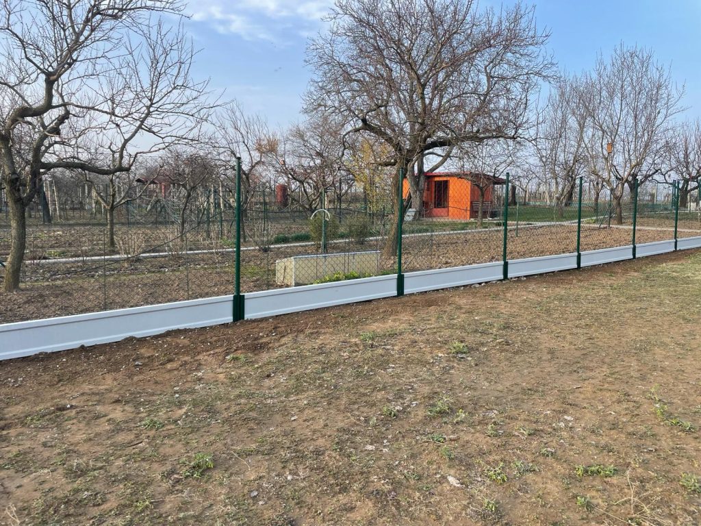 caption for image 1