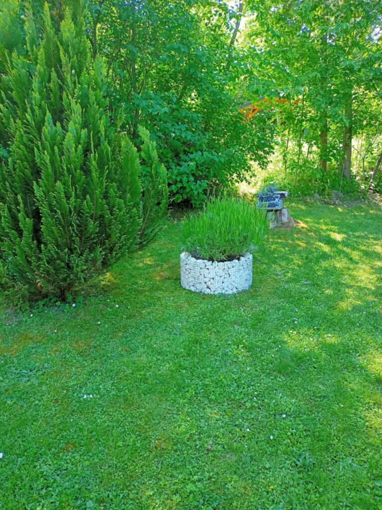 caption for image 1