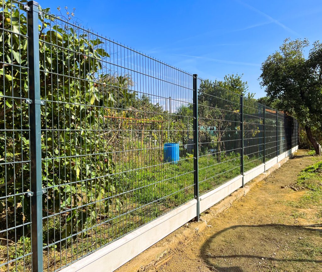 caption for image 1