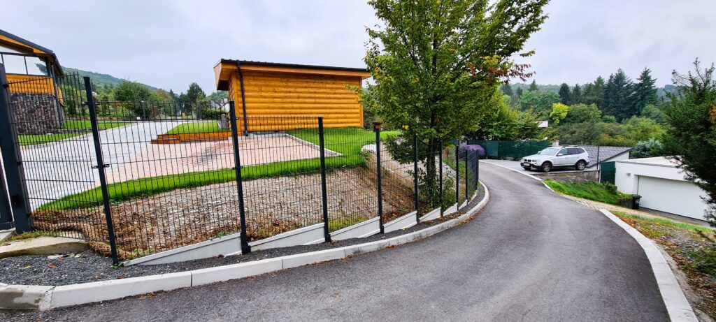 caption for image 1