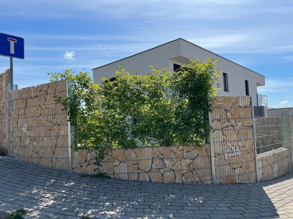 caption for image 1