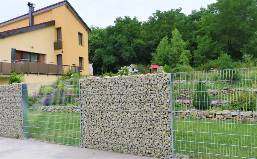 caption for image 1