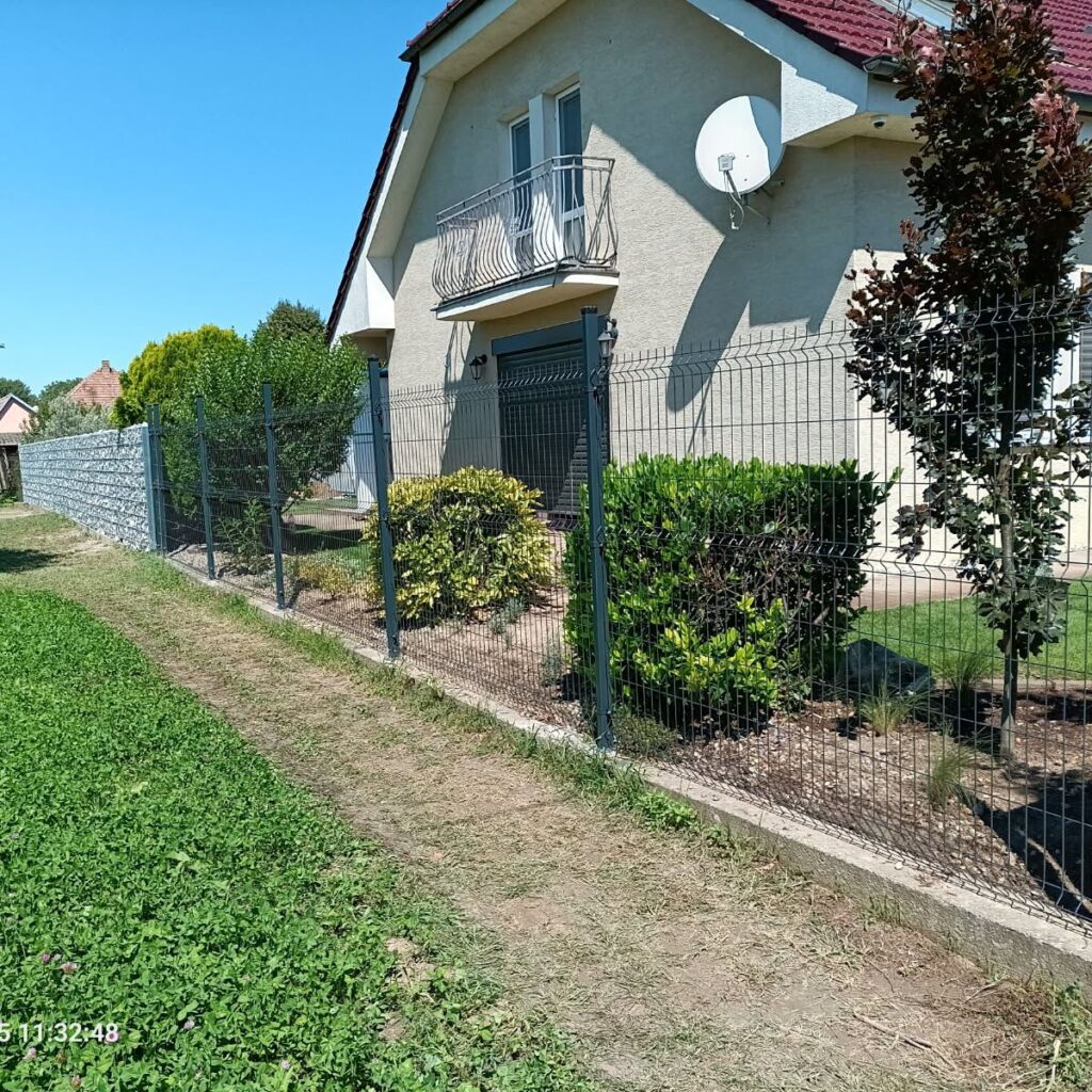 caption for image 1