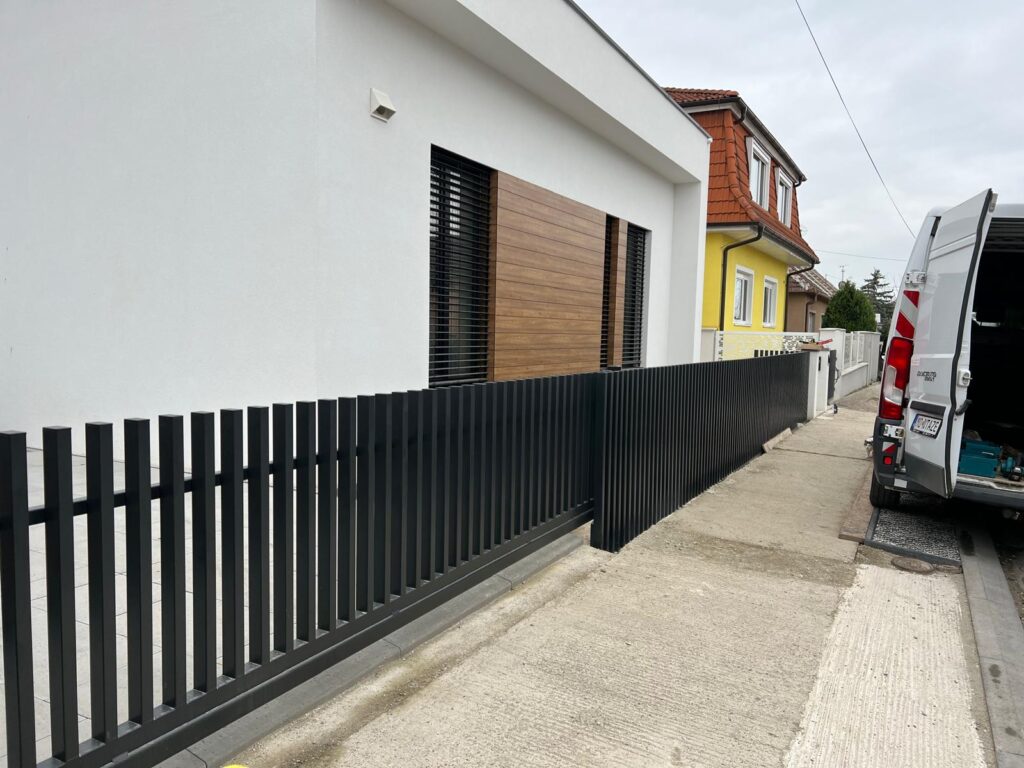 caption for image 1