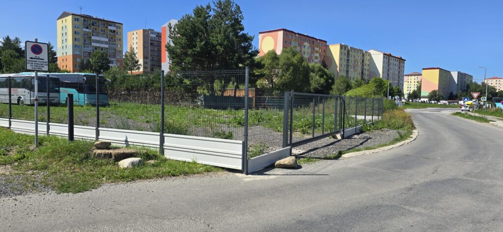 caption for image 1