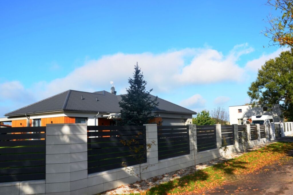 caption for image 1