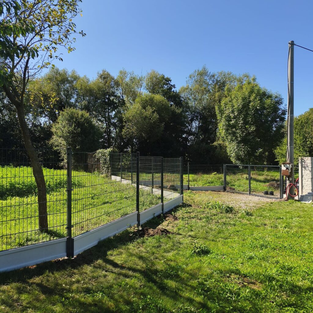 caption for image 1