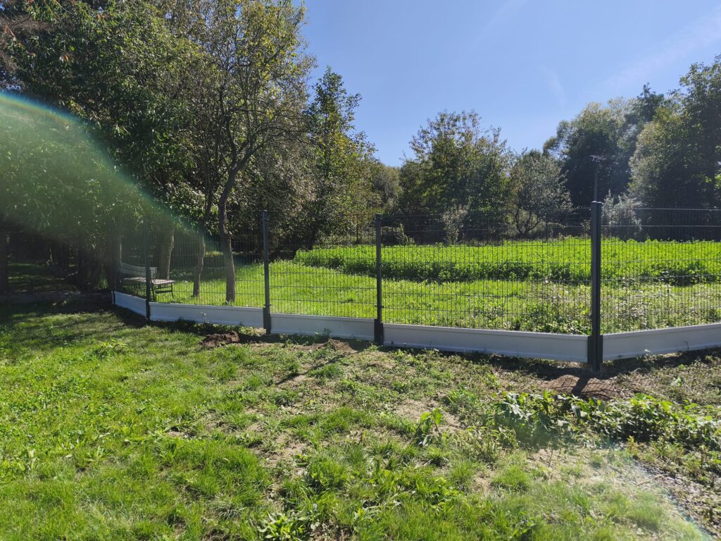 caption for image 1