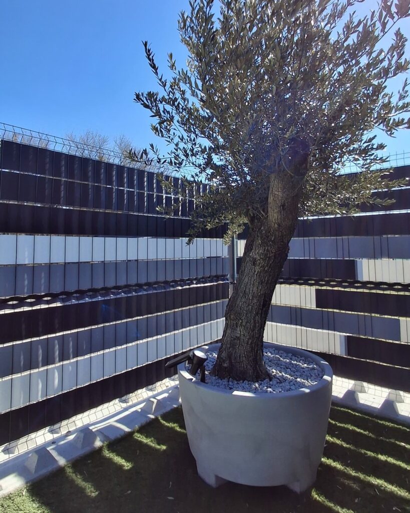 caption for image 1
