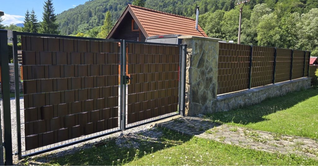 caption for image 1